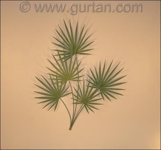 Chinese Palm Metal Wall Sculpture in green leaves