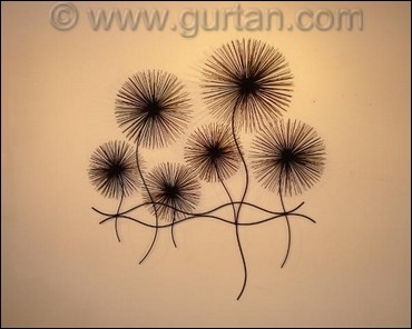 Dandelions Black