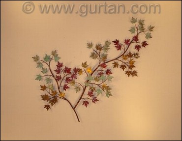 Maple Leaves