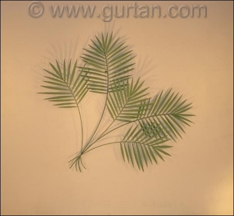 Palm Branch Metal Wall Sculpture in green tropical  leaves