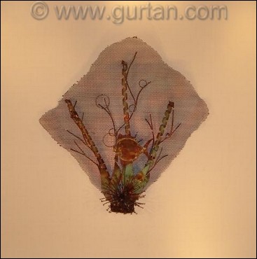 Sea Fan (Fish)