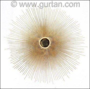 Sunburst Abstract