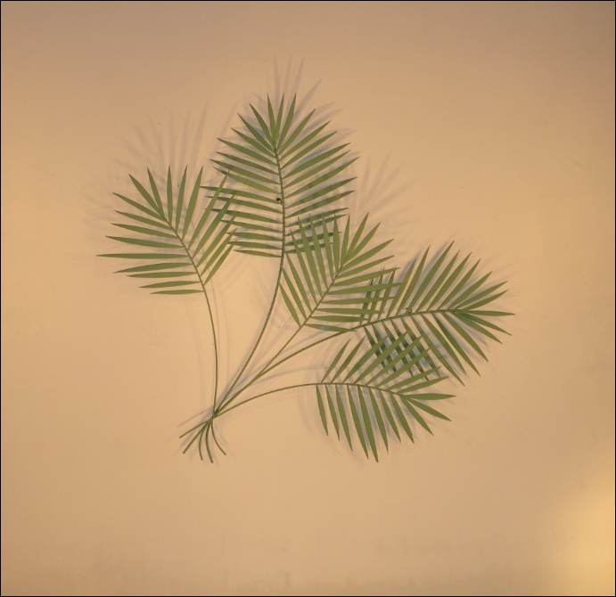 Palm Green Metal Wall Sculpture Art Indoor Single